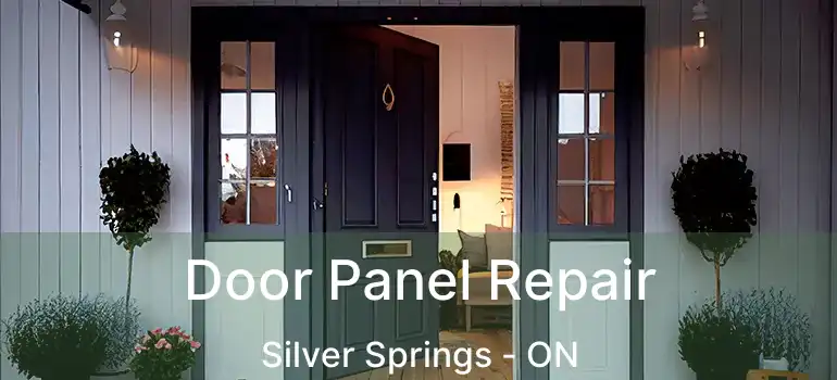 Door Panel Repair Silver Springs - ON