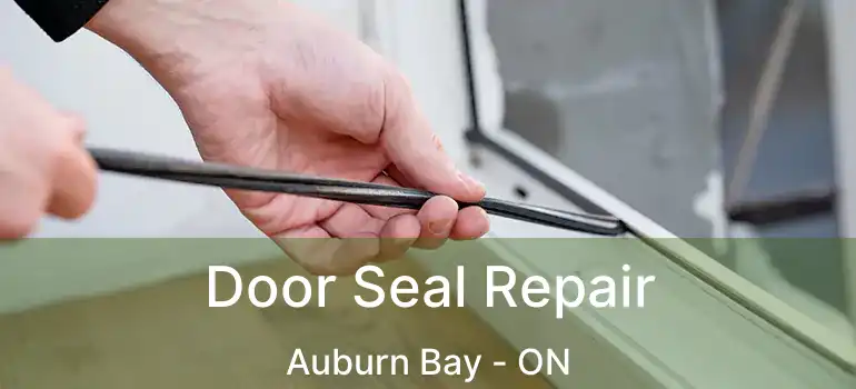 Door Seal Repair Auburn Bay - ON