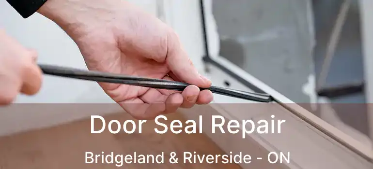 Door Seal Repair Bridgeland & Riverside - ON