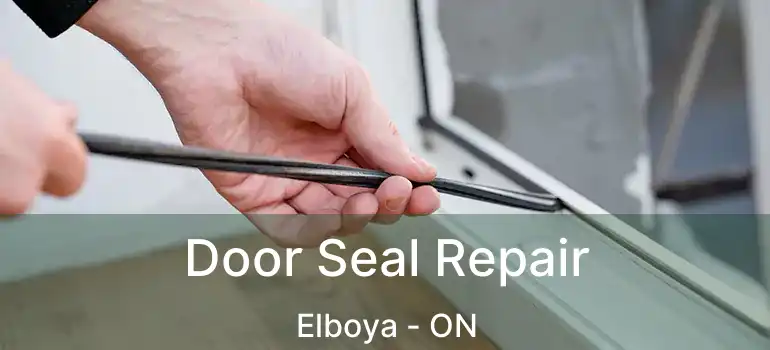 Door Seal Repair Elboya - ON