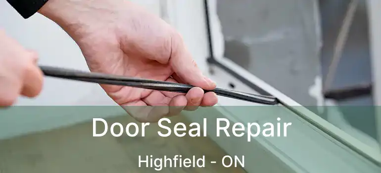 Door Seal Repair Highfield - ON