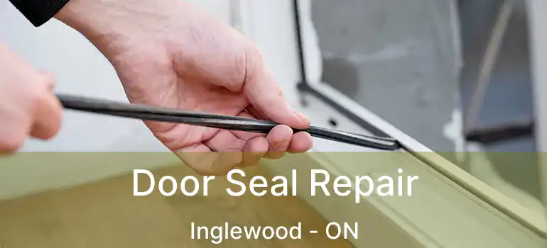 Door Seal Repair Inglewood - ON