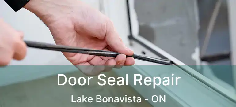 Door Seal Repair Lake Bonavista - ON