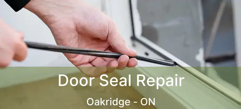 Door Seal Repair Oakridge - ON