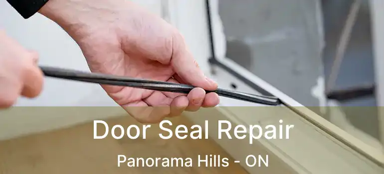 Door Seal Repair Panorama Hills - ON
