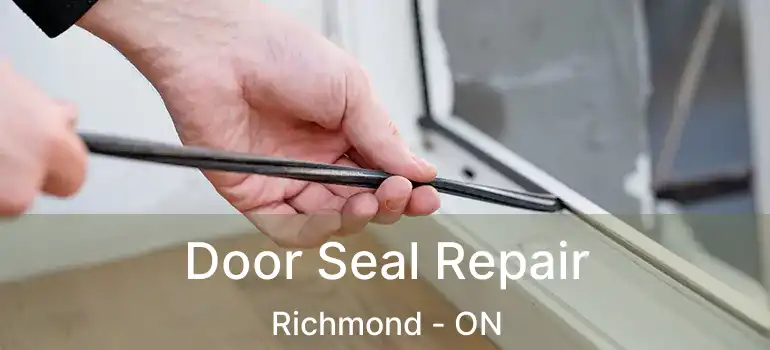Door Seal Repair Richmond - ON