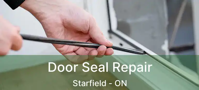 Door Seal Repair Starfield - ON