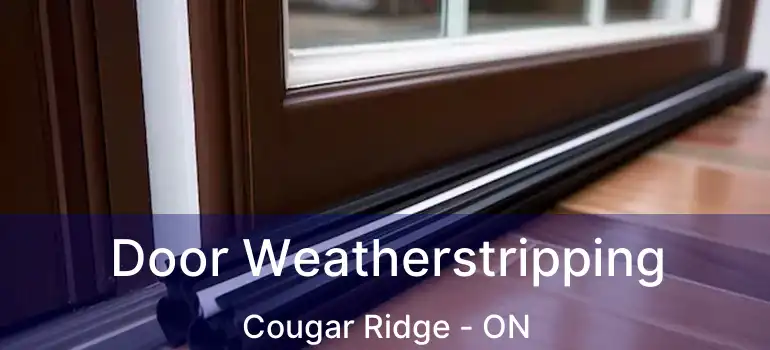 Door Weatherstripping Cougar Ridge - ON