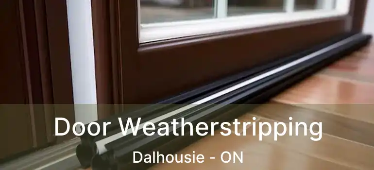 Door Weatherstripping Dalhousie - ON