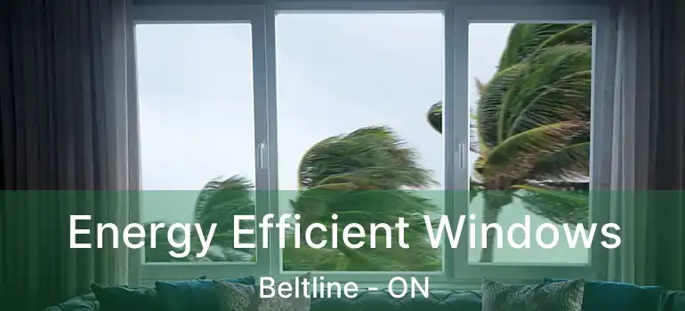 Energy Efficient Windows Beltline - ON