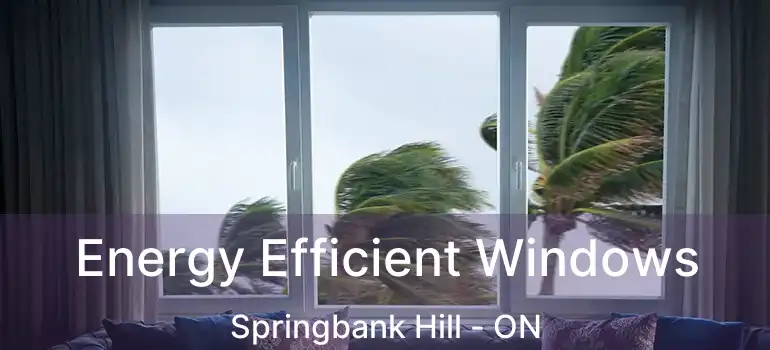 Energy Efficient Windows Springbank Hill - ON
