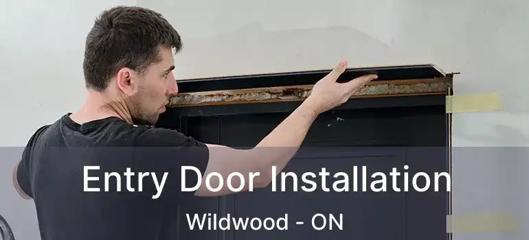 Entry Door Installation Wildwood - ON