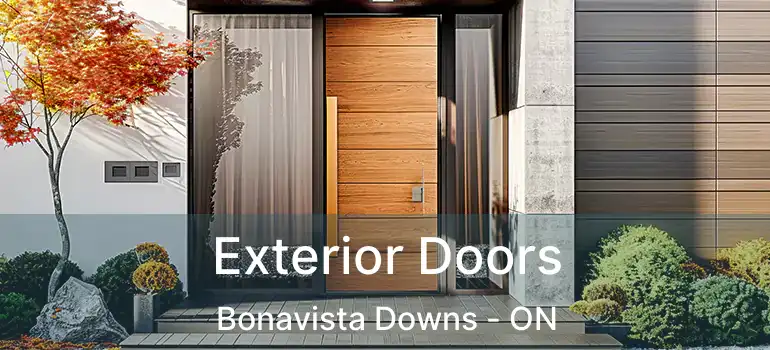 Exterior Doors Bonavista Downs - ON