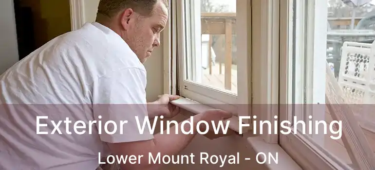 Exterior Window Finishing Lower Mount Royal - ON
