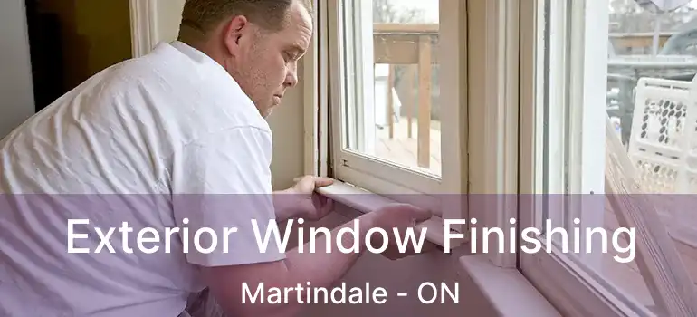 Exterior Window Finishing Martindale - ON