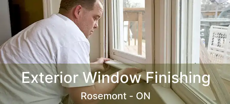 Exterior Window Finishing Rosemont - ON