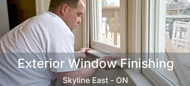 Exterior Window Finishing Skyline East - ON