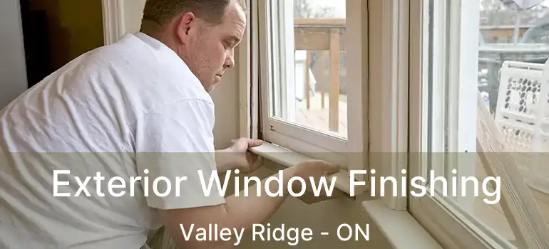 Exterior Window Finishing Valley Ridge - ON