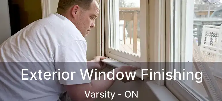 Exterior Window Finishing Varsity - ON
