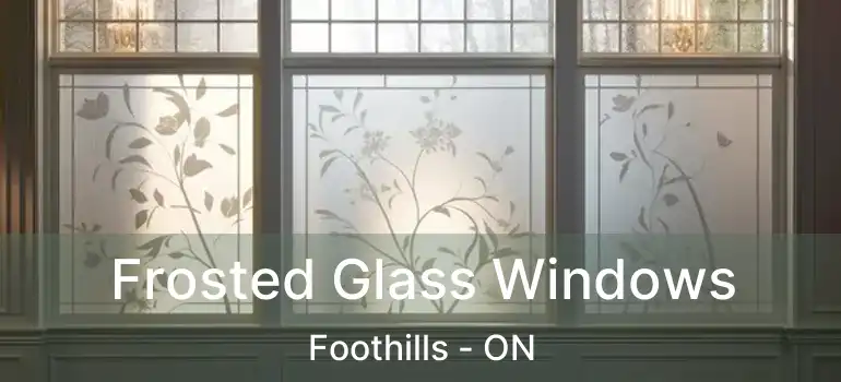 Frosted Glass Windows Foothills - ON