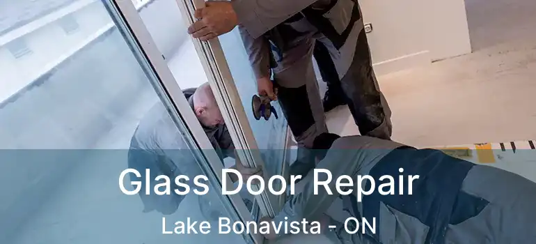 Glass Door Repair Lake Bonavista - ON