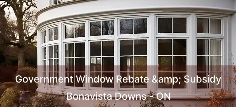 Government Window Rebate & Subsidy Bonavista Downs - ON