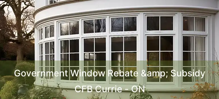 Government Window Rebate & Subsidy CFB Currie - ON