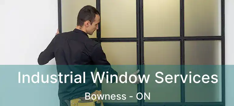 Industrial Window Services Bowness - ON