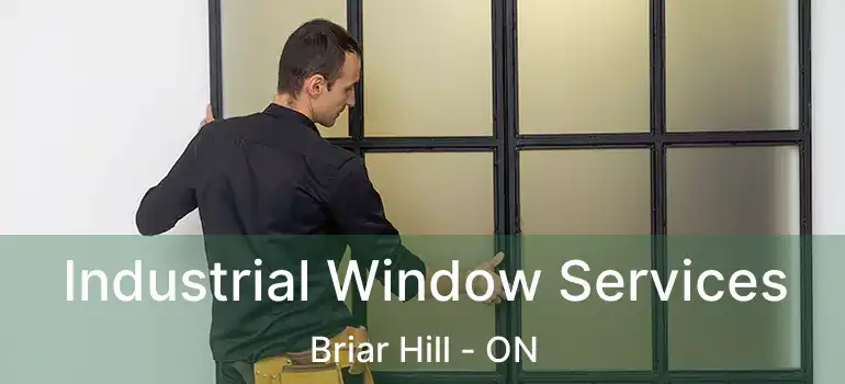 Industrial Window Services Briar Hill - ON
