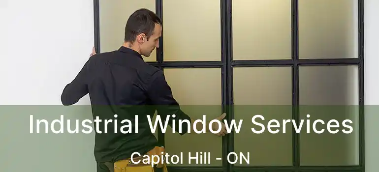 Industrial Window Services Capitol Hill - ON