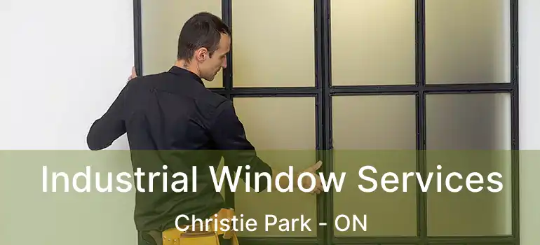 Industrial Window Services Christie Park - ON