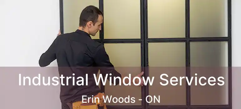 Industrial Window Services Erin Woods - ON