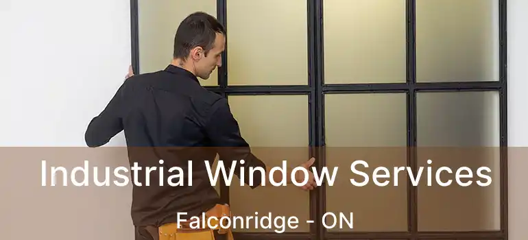 Industrial Window Services Falconridge - ON