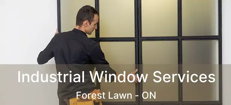 Industrial Window Services Forest Lawn - ON