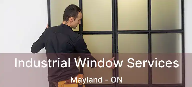Industrial Window Services Mayland - ON