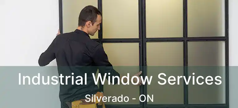Industrial Window Services Silverado - ON