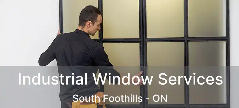 Industrial Window Services South Foothills - ON