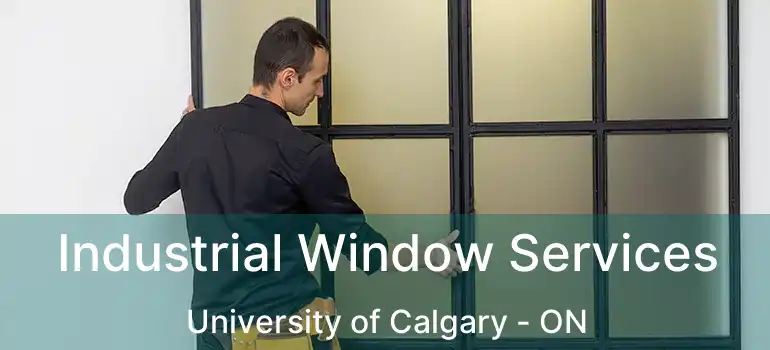 Industrial Window Services University of Calgary - ON