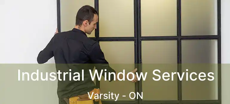 Industrial Window Services Varsity - ON