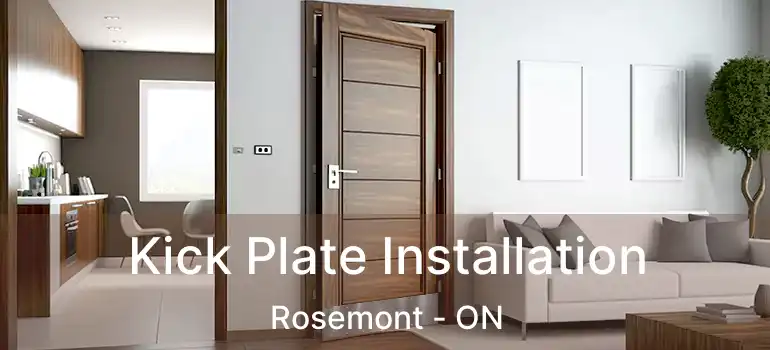 Kick Plate Installation Rosemont - ON