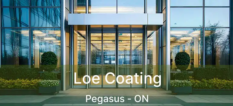 Loe Coating Pegasus - ON