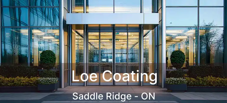 Loe Coating Saddle Ridge - ON