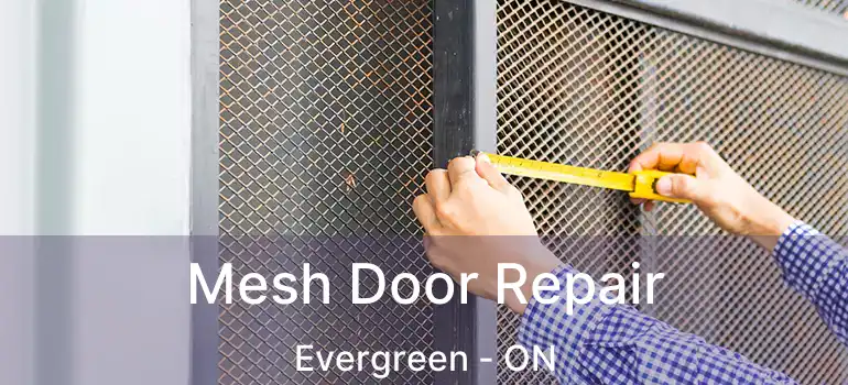 Mesh Door Repair Evergreen - ON