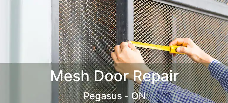 Mesh Door Repair Pegasus - ON