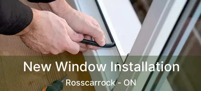 New Window Installation Rosscarrock - ON