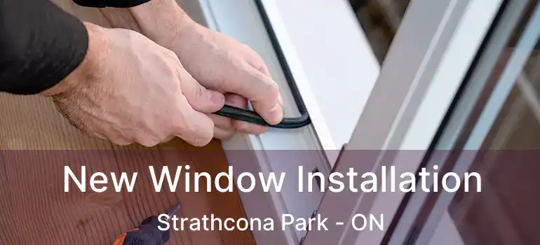New Window Installation Strathcona Park - ON
