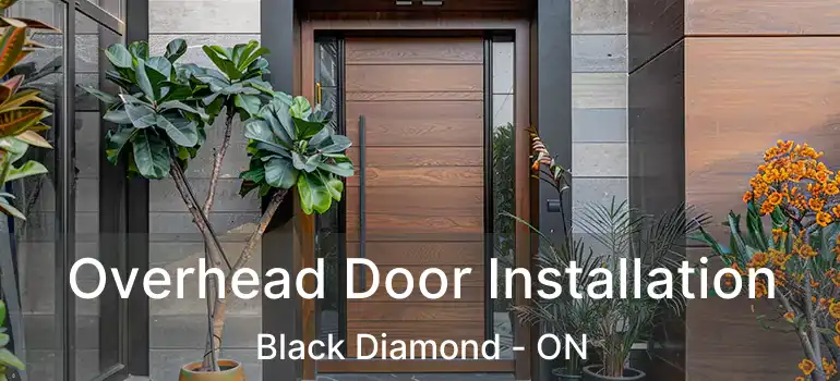Overhead Door Installation Black Diamond - ON