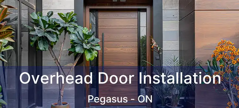 Overhead Door Installation Pegasus - ON