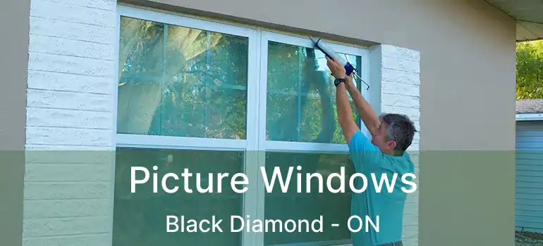 Picture Windows Black Diamond - ON