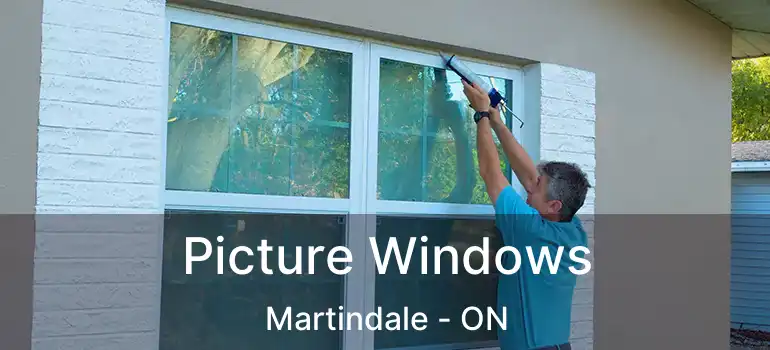 Picture Windows Martindale - ON